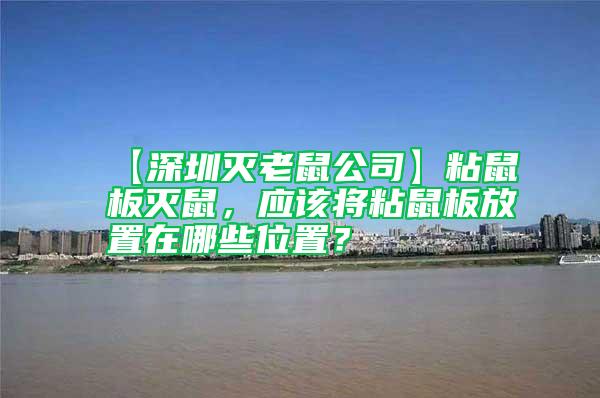 【深圳滅老鼠公司】粘鼠板滅鼠，應該將粘鼠板放置在哪些位置？