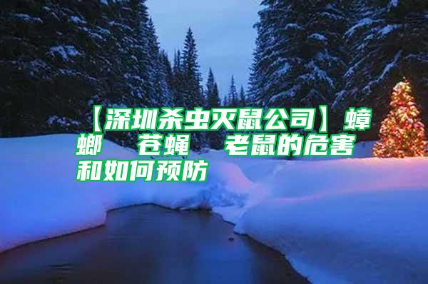 【深圳殺蟲滅鼠公司】蟑螂  蒼蠅  老鼠的危害和如何預(yù)防