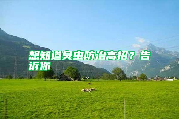 想知道臭蟲(chóng)防治高招？告訴你