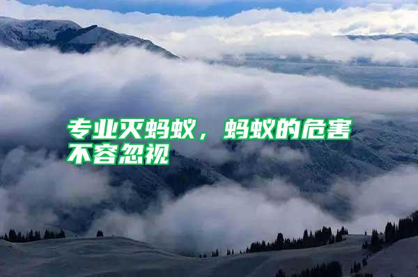 專業(yè)滅螞蟻，螞蟻的危害不容忽視