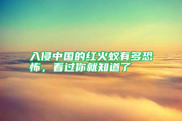 入侵中國的紅火蟻有多恐怖，看過你就知道了