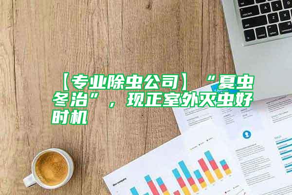【專業(yè)除蟲公司】“夏蟲冬治”，現(xiàn)正室外滅蟲好時機