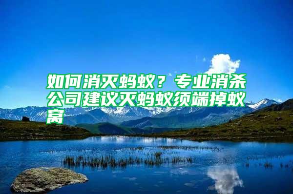 如何消滅螞蟻？專業(yè)消殺公司建議滅螞蟻?lái)毝说粝伕C