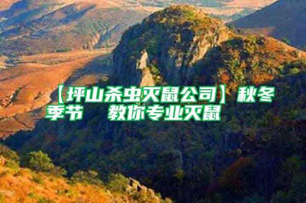 【坪山殺蟲滅鼠公司】秋冬季節(jié) 教你專業(yè)滅鼠