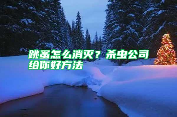 跳蚤怎么消滅？殺蟲公司給你好方法