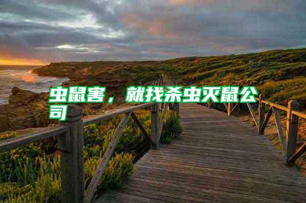 蟲(chóng)鼠害，就找殺蟲(chóng)滅鼠公司