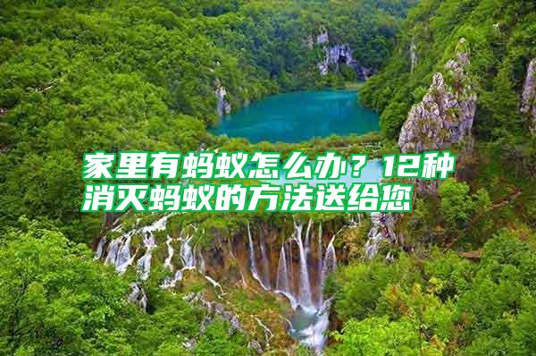家里有螞蟻怎么辦？12種消滅螞蟻的方法送給您