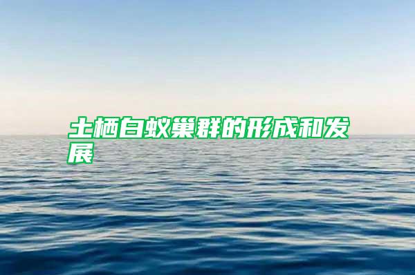 土棲白蟻巢群的形成和發(fā)展