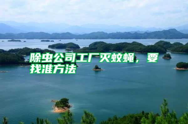 除蟲公司工廠滅蚊蠅，要找準(zhǔn)方法