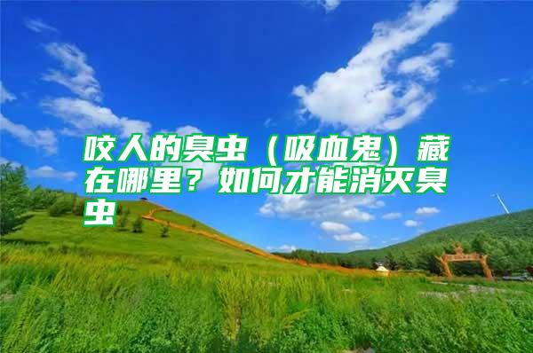 咬人的臭蟲（吸血鬼）藏在哪里？如何才能消滅臭蟲