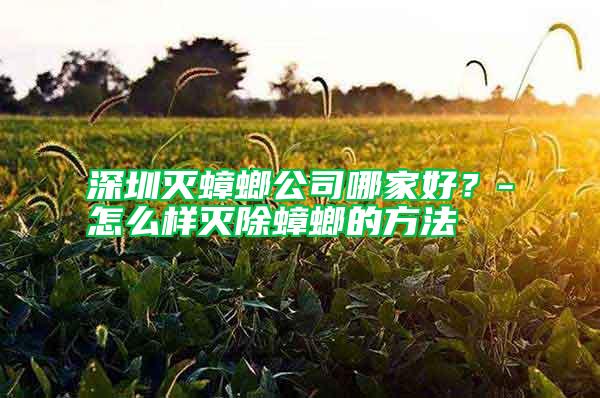 深圳滅蟑螂公司哪家好？-怎么樣滅除蟑螂的方法