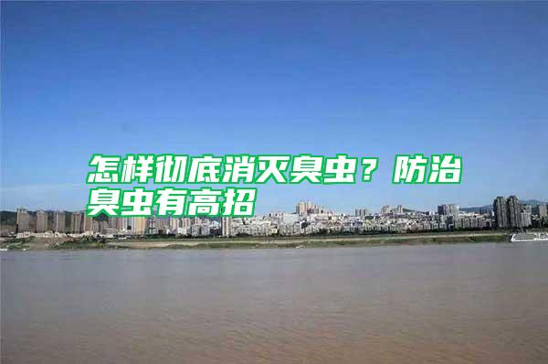 怎樣徹底消滅臭蟲(chóng)？防治臭蟲(chóng)有高招