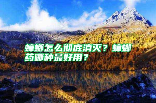 蟑螂怎么徹底消滅？蟑螂藥哪種最好用？