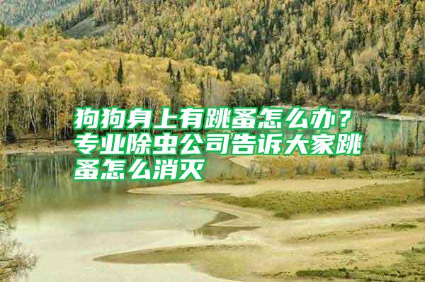 狗狗身上有跳蚤怎么辦?專業(yè)除蟲公司告訴大家跳蚤怎么消滅