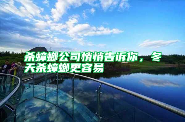 殺蟑螂公司悄悄告訴你,冬天殺蟑螂更容易