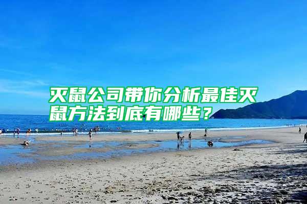 滅鼠公司帶你分析最佳滅鼠方法到底有哪些？