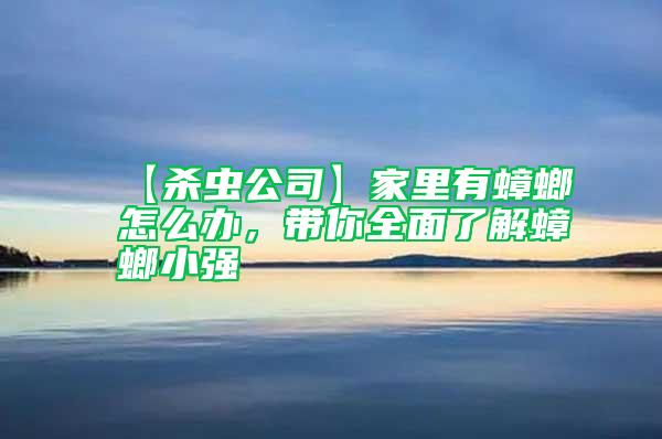 【殺蟲公司】家里有蟑螂怎么辦，帶你全面了解蟑螂小強(qiáng)