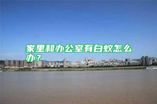 家里和辦公室有白蟻怎么辦？