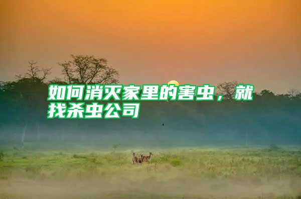 如何消滅家里的害蟲，就找殺蟲公司