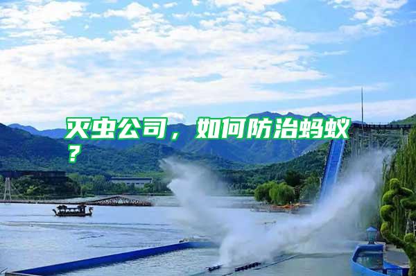 滅蟲公司，如何防治螞蟻？