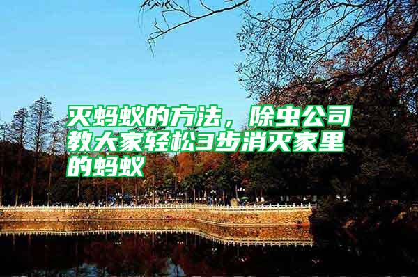 滅螞蟻的方法，除蟲公司教大家輕松3步消滅家里的螞蟻