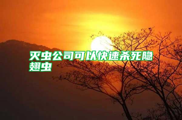 滅蟲(chóng)公司可以快速殺死隱翅蟲(chóng)