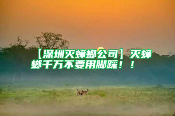 【深圳滅蟑螂公司】滅蟑螂千萬(wàn)不要用腳踩！！