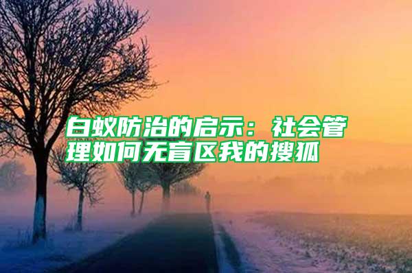 白蟻防治的啟示：社會管理如何無盲區(qū)我的搜狐