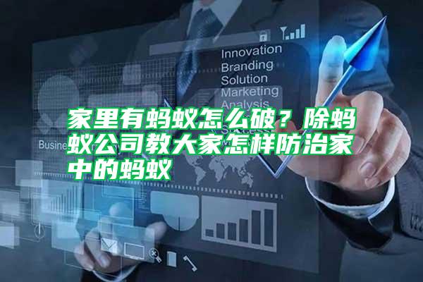 家里有螞蟻怎么破？除螞蟻公司教大家怎樣防治家中的螞蟻