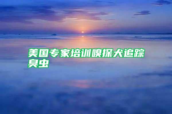 美國專家培訓(xùn)嗅探犬追蹤臭蟲