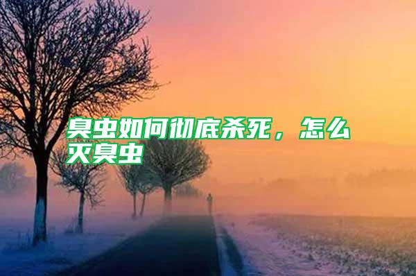 臭蟲(chóng)如何徹底殺死，怎么滅臭蟲(chóng)