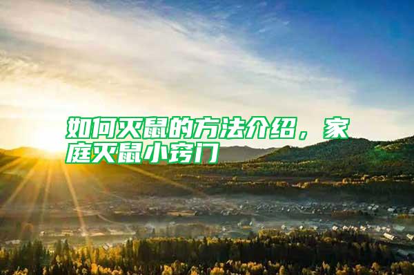 如何滅鼠的方法介紹，家庭滅鼠小竅門