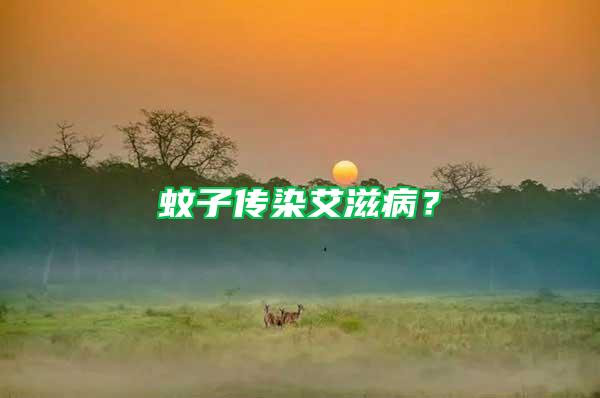 蚊子傳染艾滋?。?/></p>
             <p style=