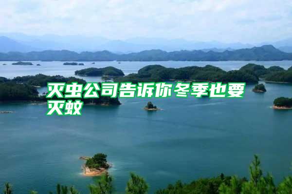 滅蟲(chóng)公司告訴你冬季也要滅蚊