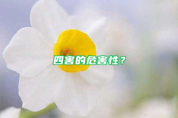 四害的危害性？