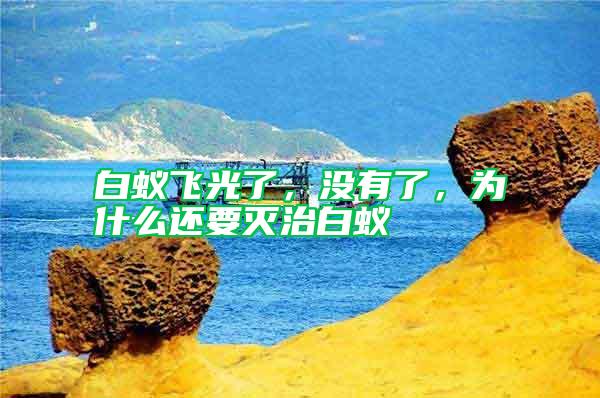 白蟻飛光了，沒有了，為什么還要滅治白蟻