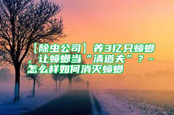【除蟲公司】養(yǎng)3億只蟑螂，讓蟑螂當(dāng)“清道夫”？-怎么樣如何消滅蟑螂