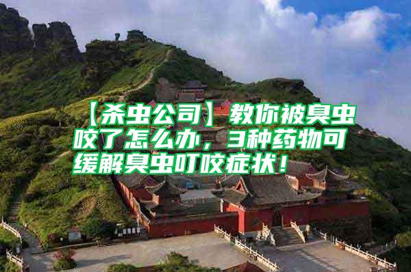 【殺蟲公司】教你被臭蟲咬了怎么辦，3種藥物可緩解臭蟲叮咬癥狀！