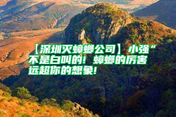 【深圳滅蟑螂公司】小強(qiáng)”不是白叫的! 蟑螂的厲害遠(yuǎn)超你的想象!