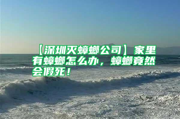 【深圳滅蟑螂公司】家里有蟑螂怎么辦，蟑螂竟然會假死！
