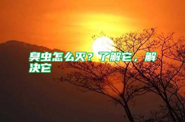 臭蟲怎么滅？了解它，解決它