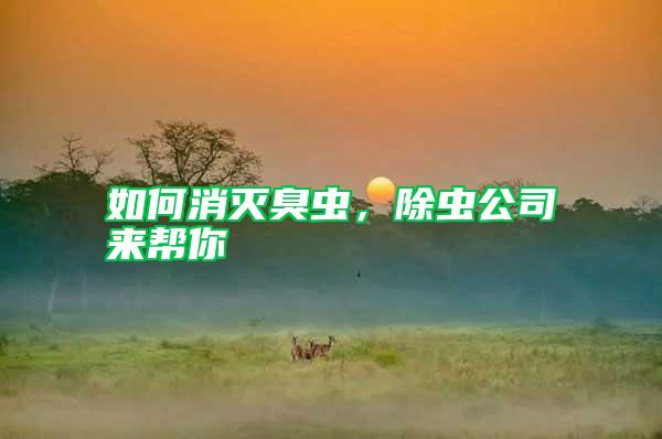 如何消滅臭蟲，除蟲公司來(lái)幫你