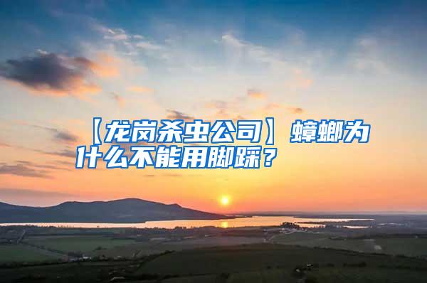 【龍崗殺蟲(chóng)公司】蟑螂為什么不能用腳踩?