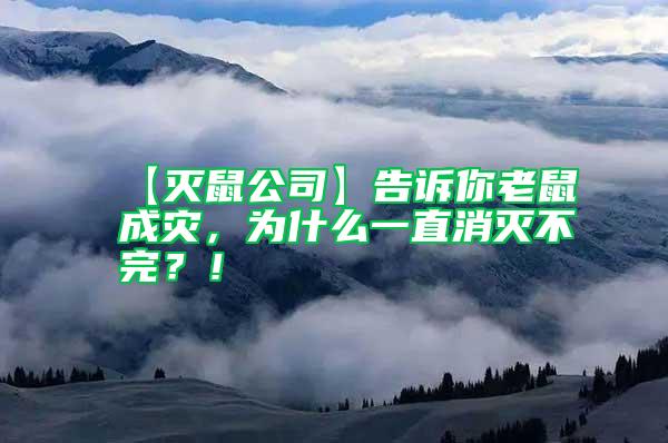 【滅鼠公司】告訴你老鼠成災(zāi)，為什么一直消滅不完？！