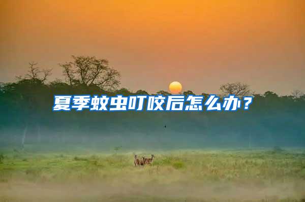 夏季蚊蟲叮咬后怎么辦？