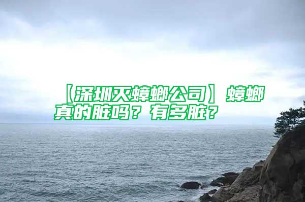 【深圳滅蟑螂公司】蟑螂真的臟嗎？有多臟？