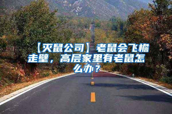 【滅鼠公司】老鼠會飛檐走壁，高層家里有老鼠怎么辦？