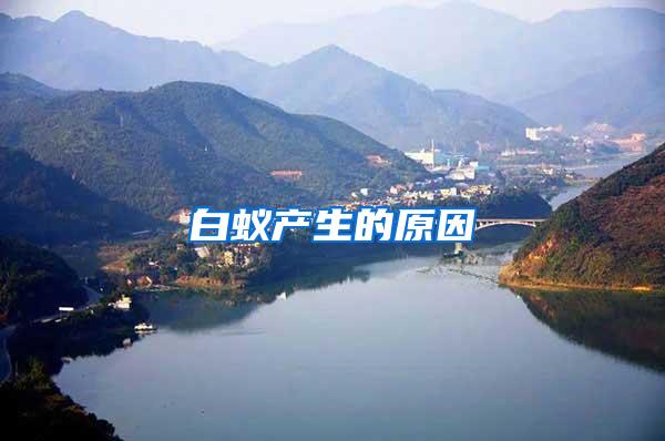 白蟻產(chǎn)生的原因