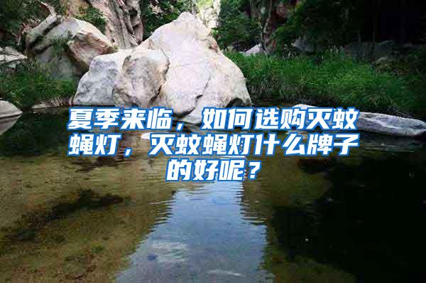 夏季來臨，如何選購滅蚊蠅燈，滅蚊蠅燈什么牌子的好呢？