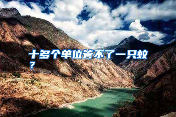 十多個(gè)單位管不了一只蚊？